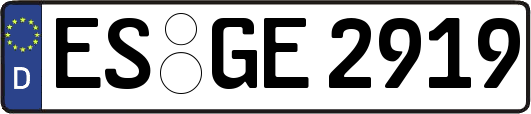ES-GE2919
