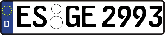 ES-GE2993