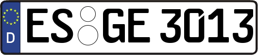 ES-GE3013