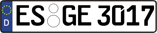 ES-GE3017