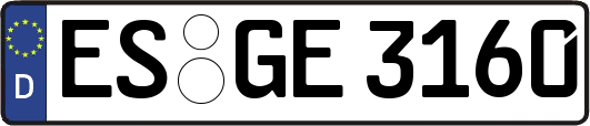 ES-GE3160