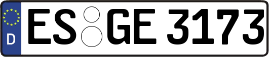 ES-GE3173