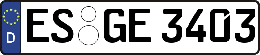 ES-GE3403