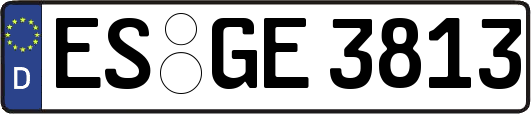 ES-GE3813