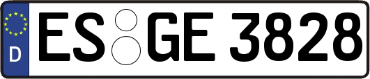 ES-GE3828