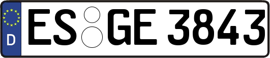 ES-GE3843
