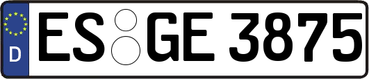 ES-GE3875