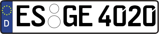 ES-GE4020