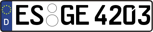 ES-GE4203