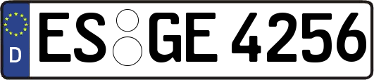 ES-GE4256