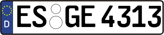 ES-GE4313