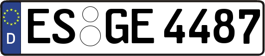 ES-GE4487