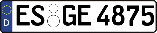 ES-GE4875