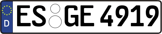 ES-GE4919