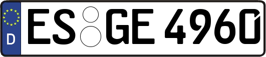 ES-GE4960