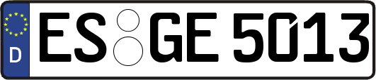 ES-GE5013