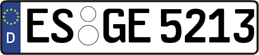 ES-GE5213