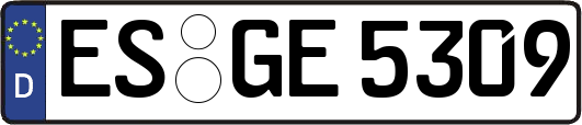 ES-GE5309