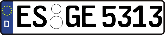 ES-GE5313