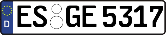 ES-GE5317
