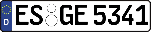 ES-GE5341