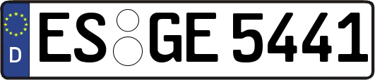 ES-GE5441