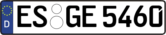ES-GE5460