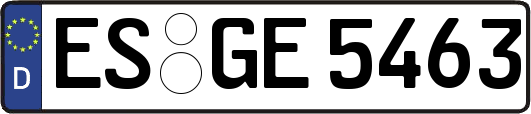 ES-GE5463