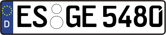 ES-GE5480
