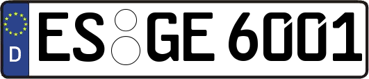 ES-GE6001