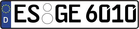 ES-GE6010