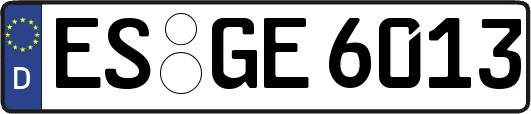 ES-GE6013