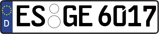 ES-GE6017