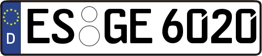 ES-GE6020