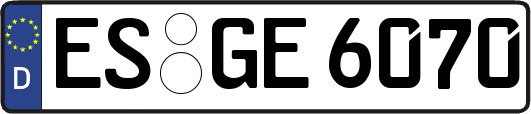 ES-GE6070
