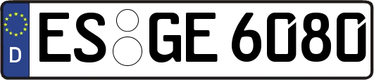 ES-GE6080