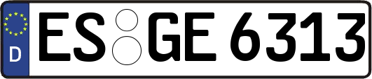 ES-GE6313