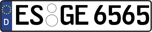 ES-GE6565