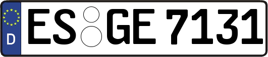 ES-GE7131