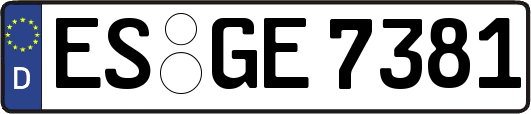 ES-GE7381