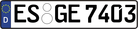 ES-GE7403