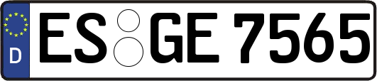 ES-GE7565