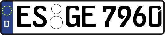 ES-GE7960
