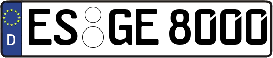 ES-GE8000