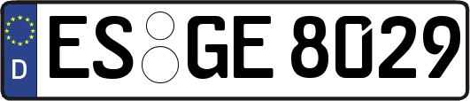 ES-GE8029