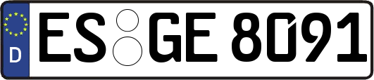 ES-GE8091