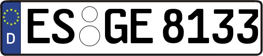 ES-GE8133