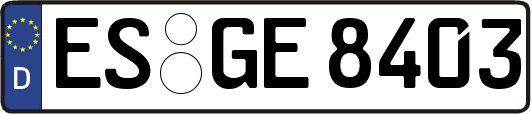 ES-GE8403
