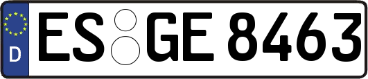 ES-GE8463