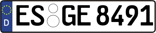 ES-GE8491